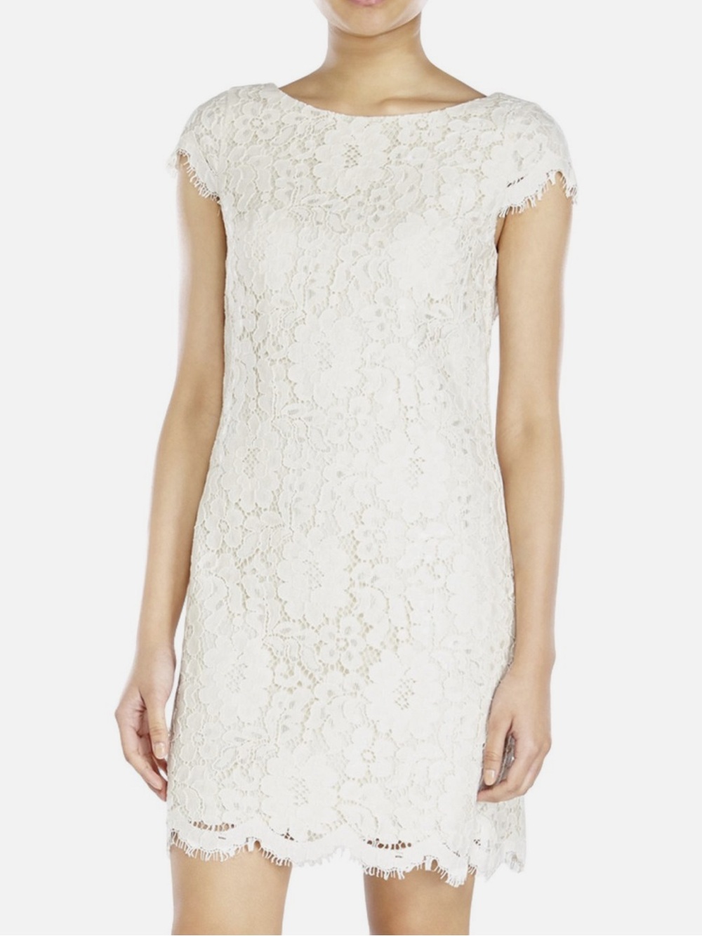 Eliza J Lace Cap Sleeve Shift Dress, Size 8P,  Ivory